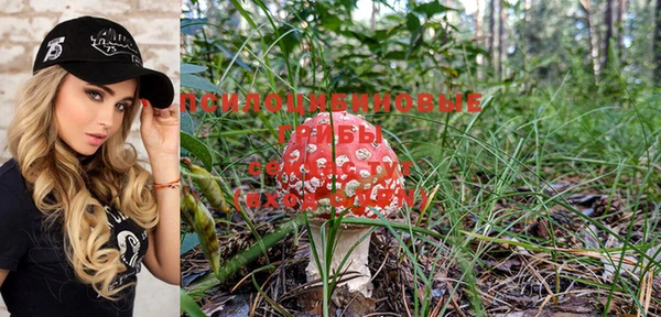 ГАЛЛЮЦИНОГЕННЫЕ ГРИБЫ Абдулино
